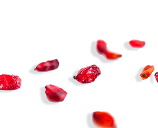 Berberine