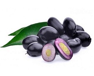 Java Plum